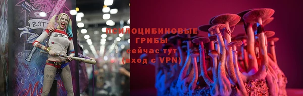 прущий лед Алексин