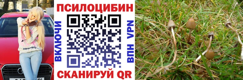 Псилоцибиновые грибы ЛСД  Кизел 