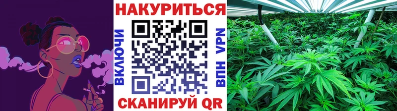 Шишки марихуана конопля закладки hydra зеркало Кизел